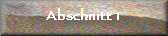 Abschnitt 1