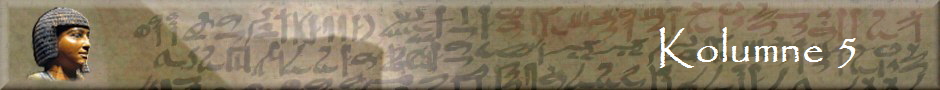 Kolumne 5