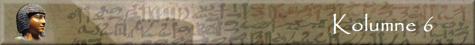 Kolumne 6
