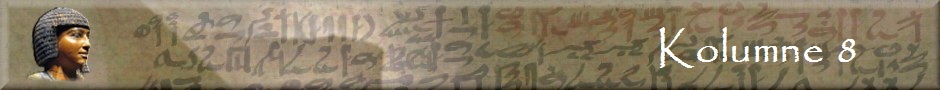 Kolumne 8