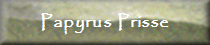 Papyrus Prisse