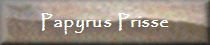 Papyrus Prisse