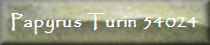 Papyrus Turin 54024