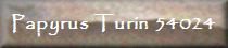 Papyrus Turin 54024